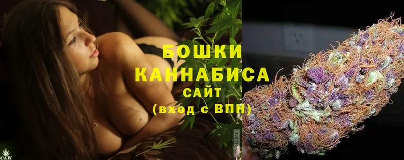 купить наркотики сайты  Андреаполь  omg ТОР  Марихуана SATIVA & INDICA 